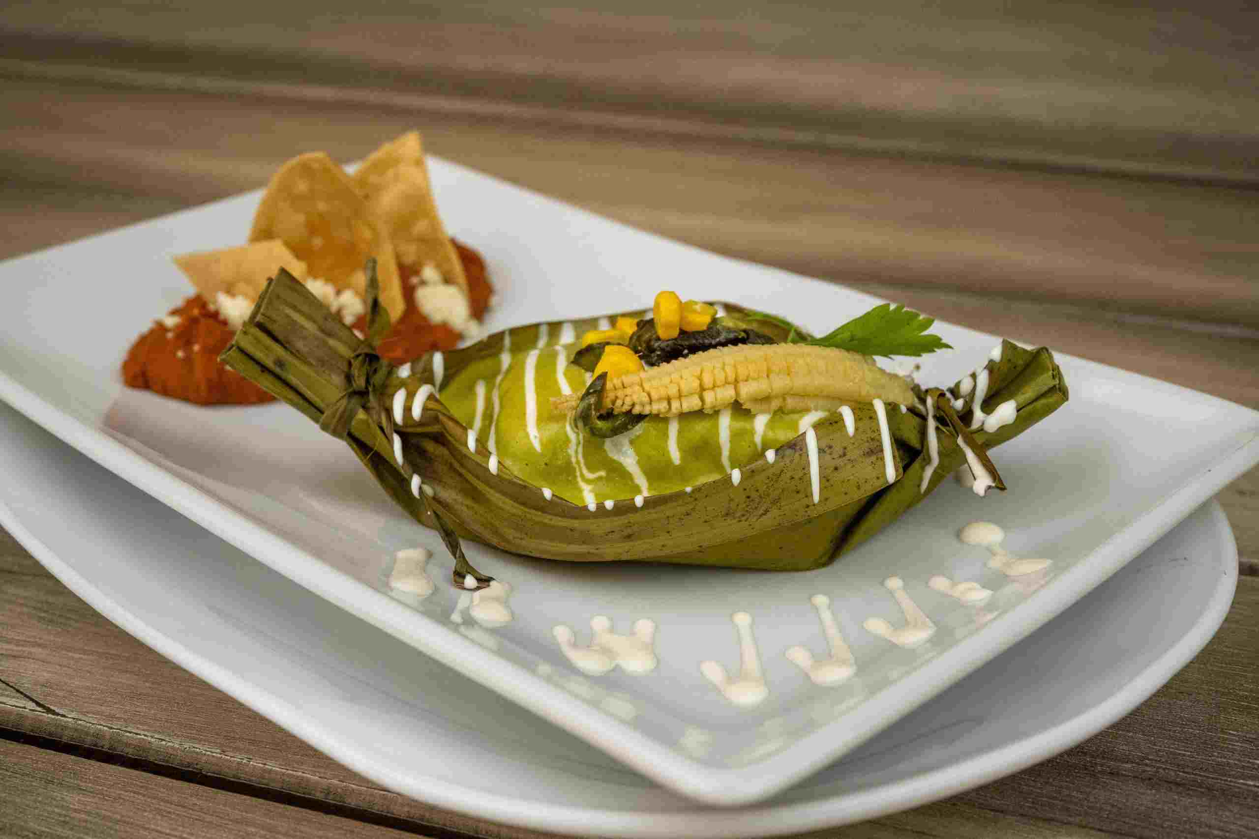 Mexican-inspired restaurant entrée plated on a white dish featuring fresh ingredients and gourmet presentation, representing Restaurant Short Term Financing, Restaurant Stock Financing, Restaurant Operating Funds, Restaurant Operating Capital, and Restaurant Payroll Financing for restaurant growth and daily operations.